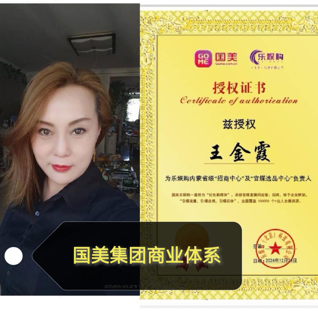 国美商业体