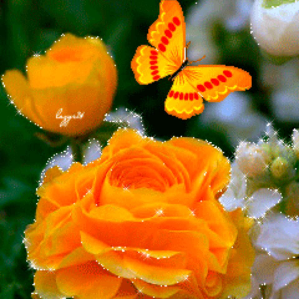 花开花落