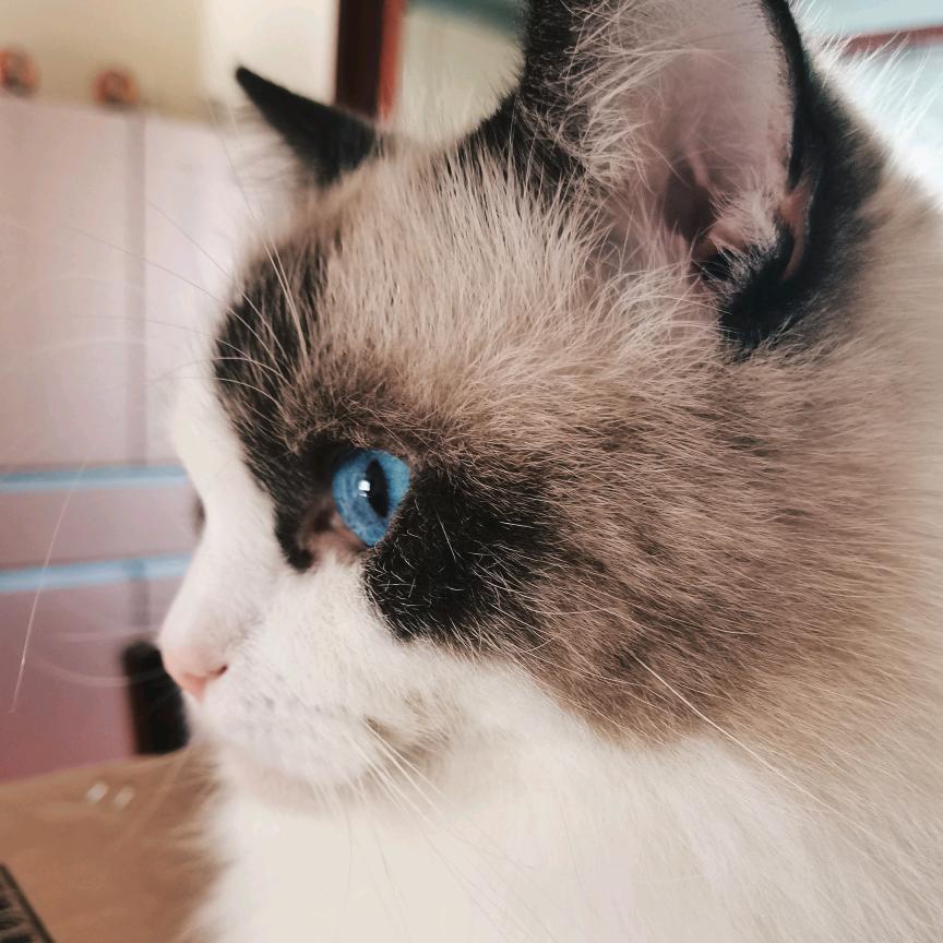 千与🧚‍♂️🧚‍♀️