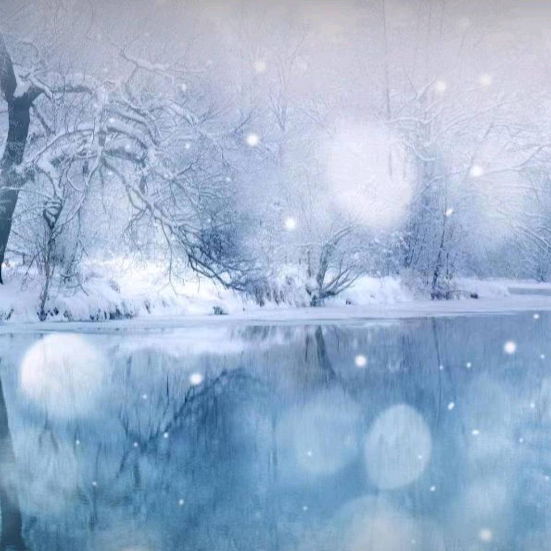 七雪