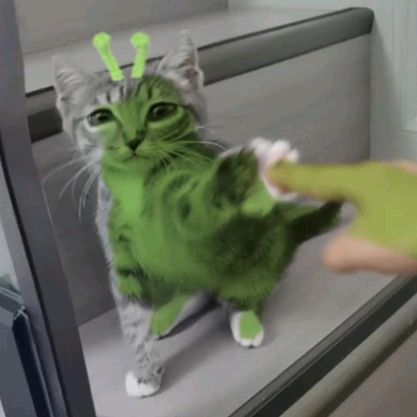 MEME