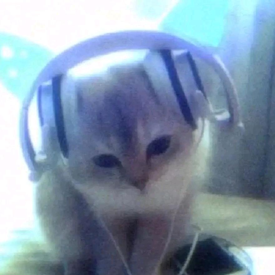 想去码头吃薯条