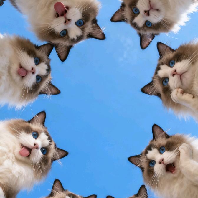 糖宝KTV（随便发泄）