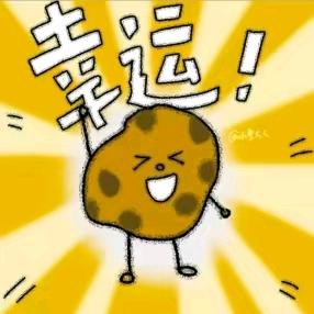 苏二岁