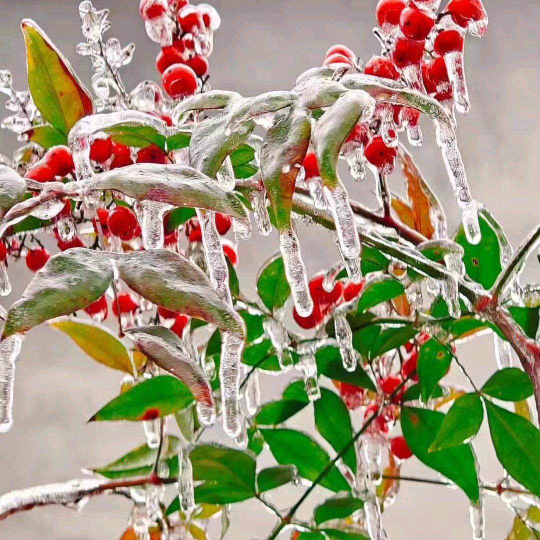 阳光总在风雨后