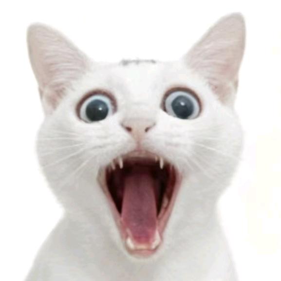 努力努力一点吧