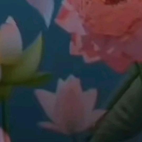 🧚‍♀️惦念🧚‍♀️