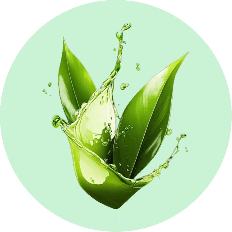 天天好物精选科技馆