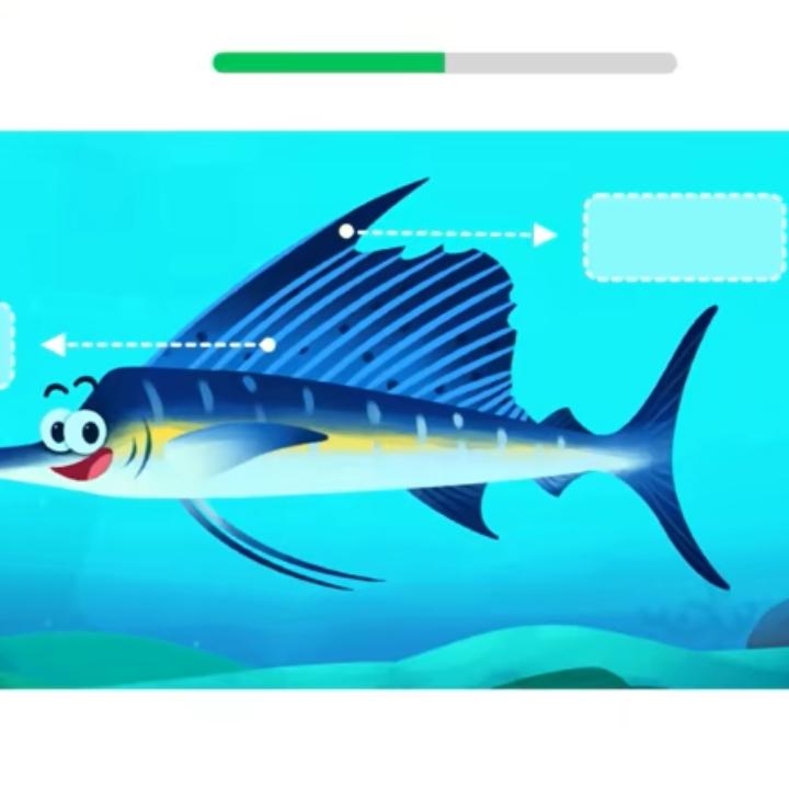zzzyyb