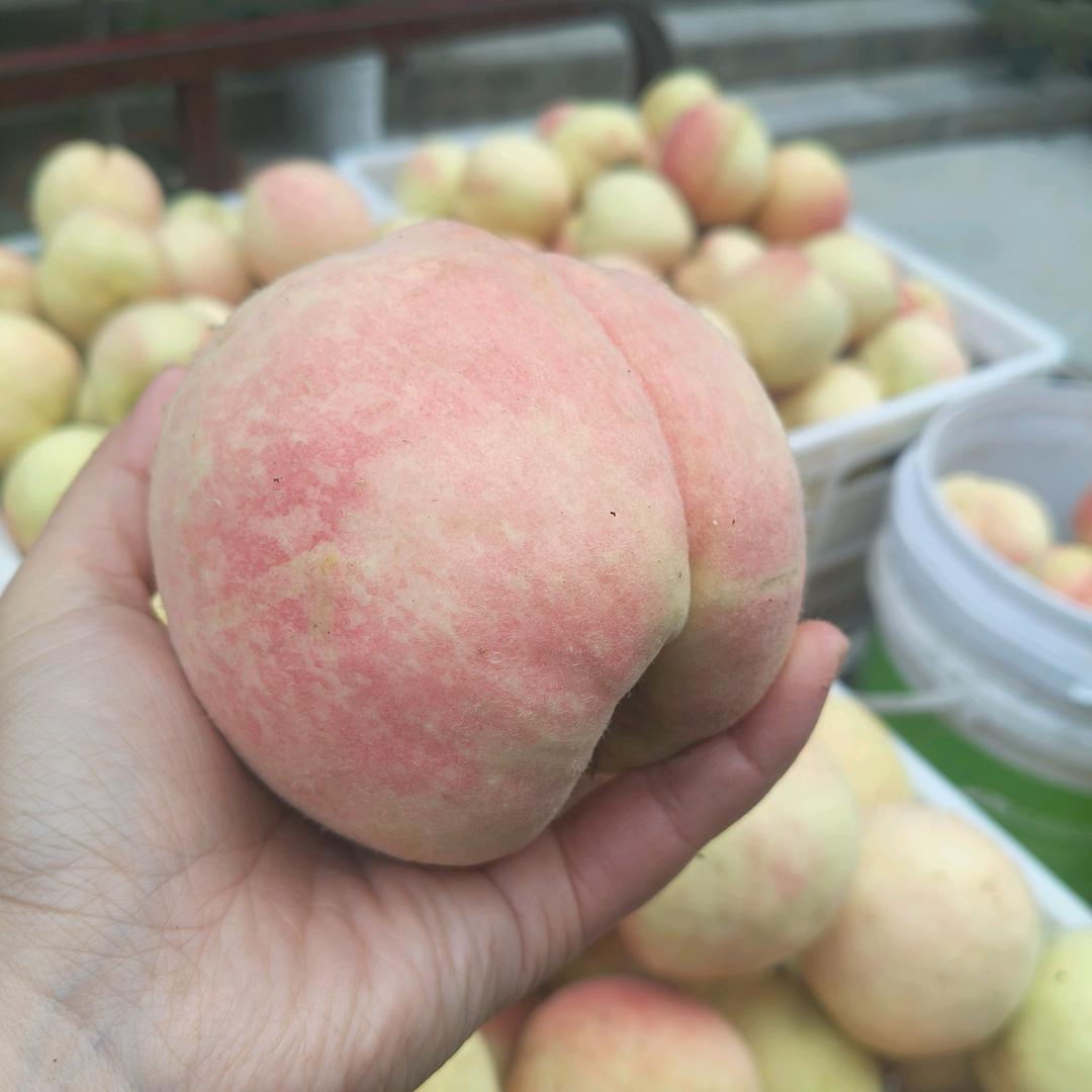 你是我的依靠