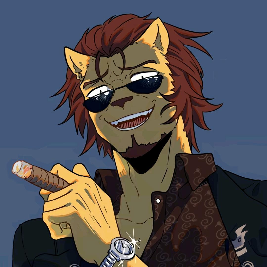 慵懒的猫