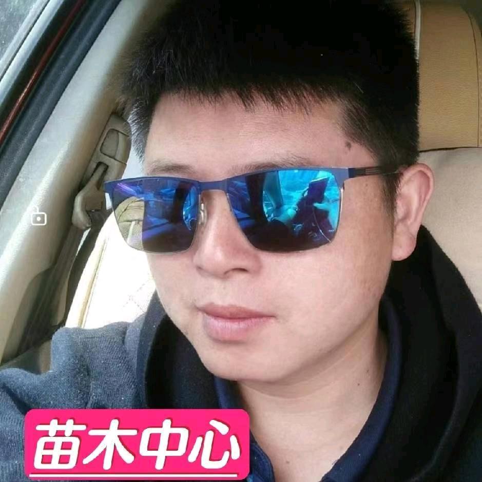 苗优优农业>工程苗木中心，免费卖苗。