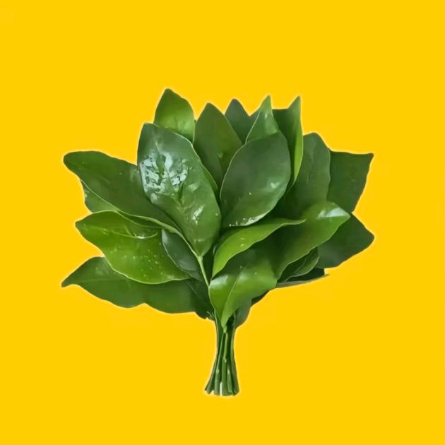 37°2