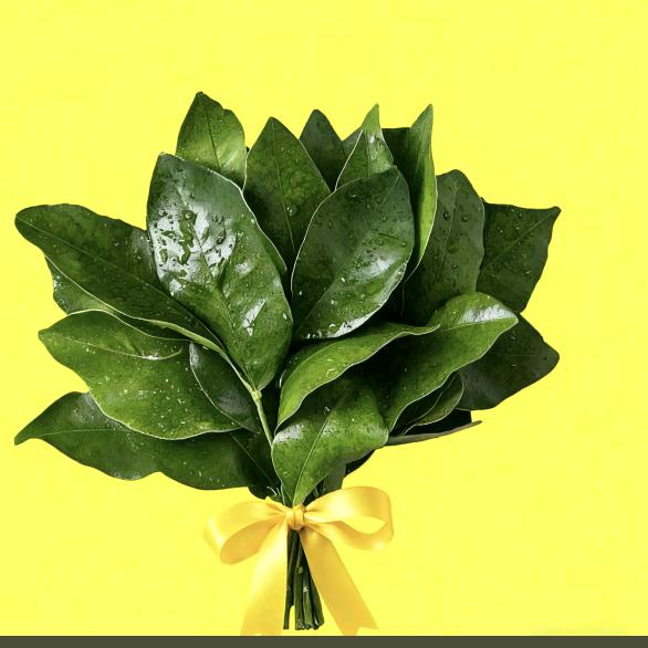 （小王总）波哥