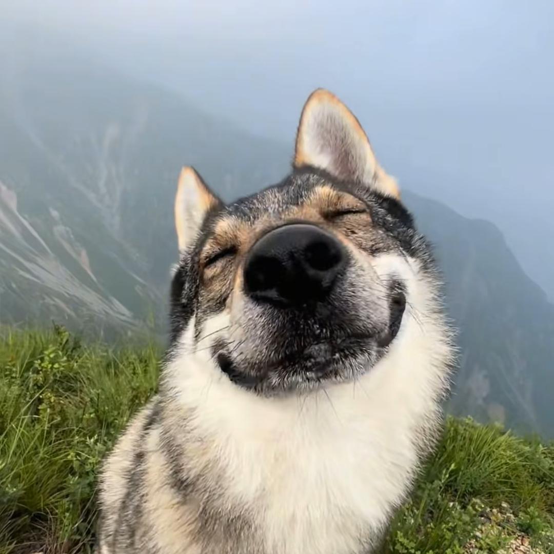 憨皮う杨