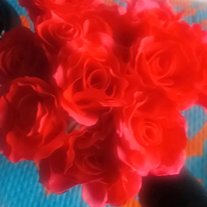 钟🌹爱🌺一生🌹🌹