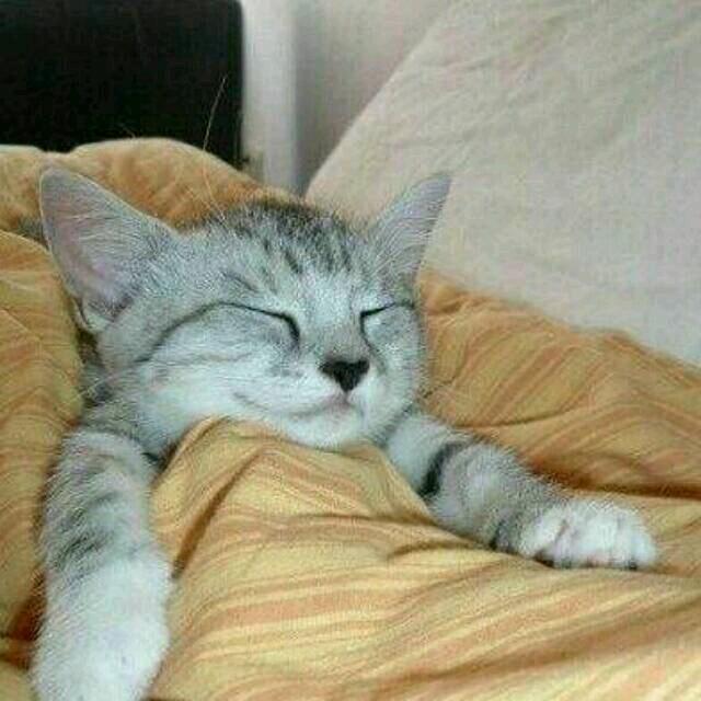 㿝氼𝓜*13921*𝓜