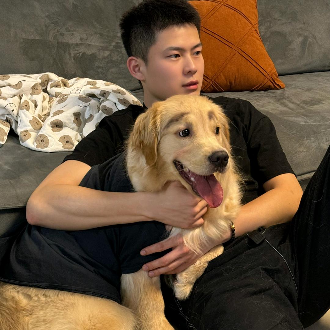饱饱爱小金毛