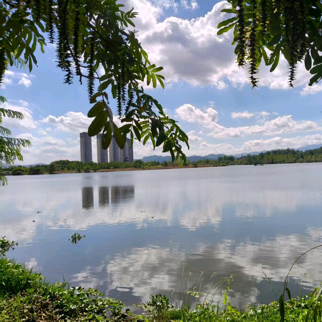 💕让幸运常伴你💕🍻