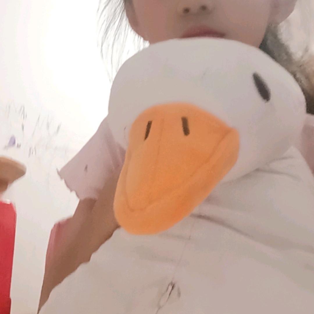 看啥鸭！（下午六点半更新）