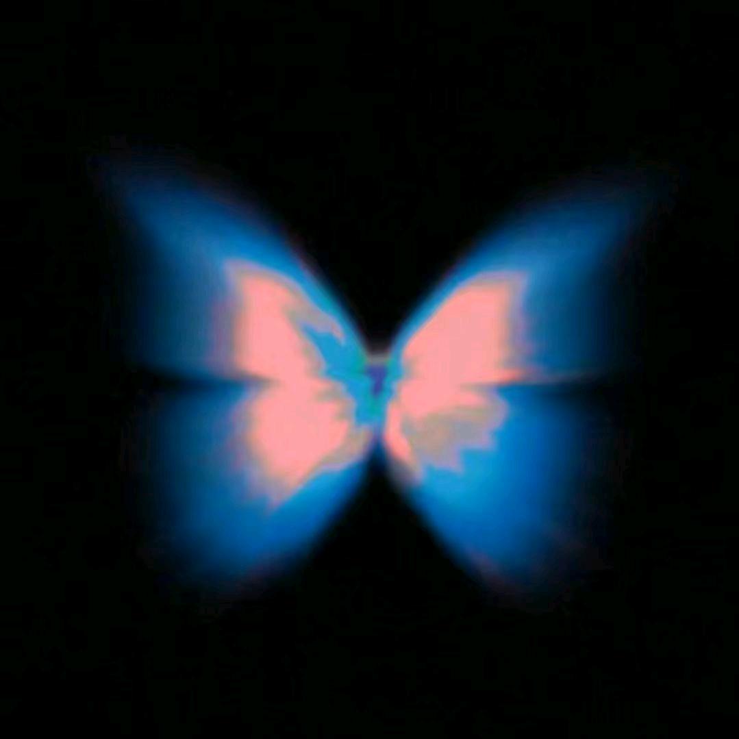 🦋