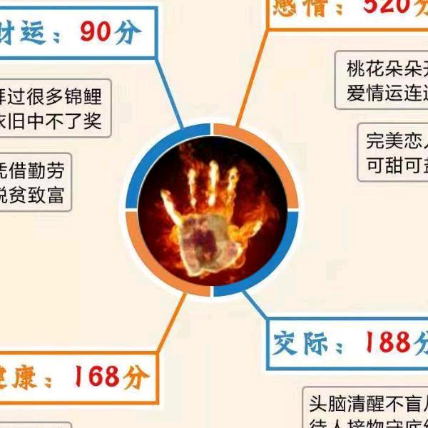 飞翔的海豚