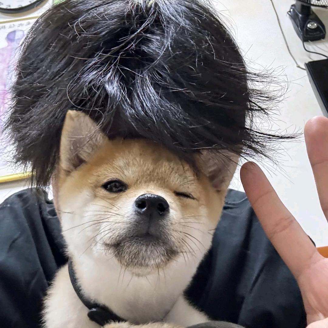 晚自习
