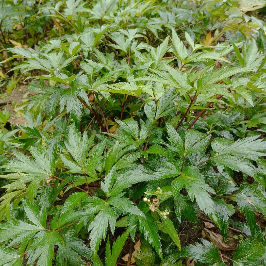 远山脚下的农仓