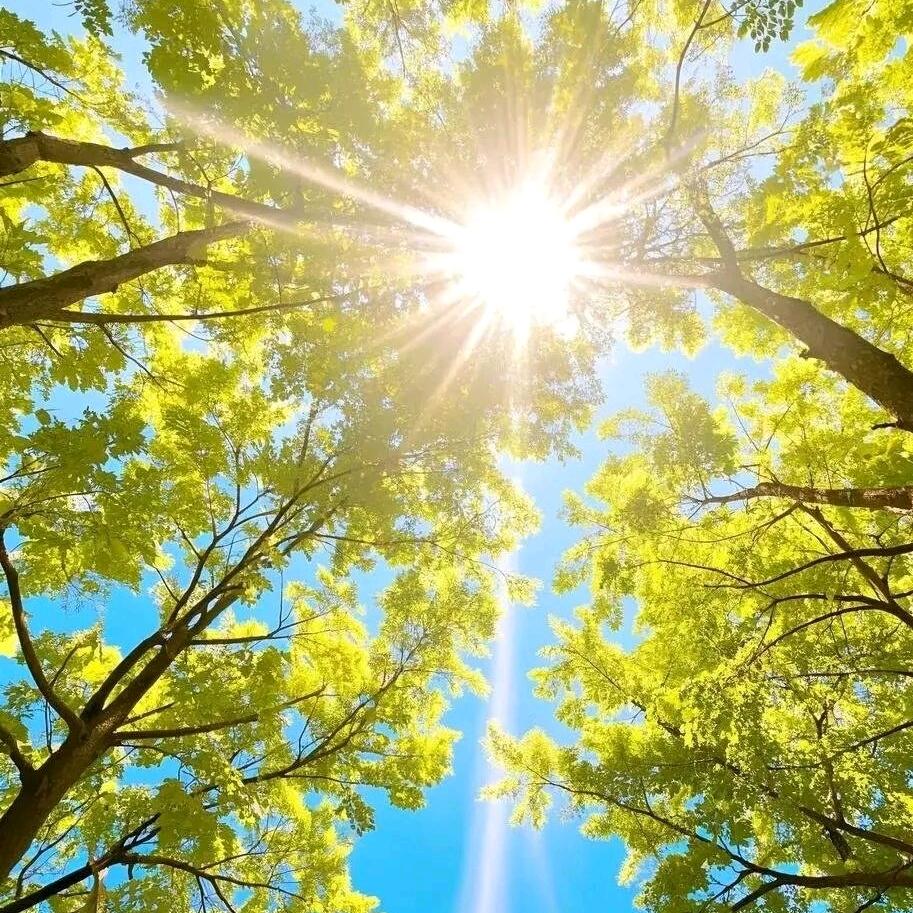 Love中国红🇨🇳