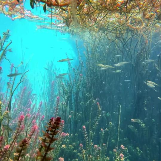 ঞৣঁ🍒᭄兜兜有米ঞৣ᭄