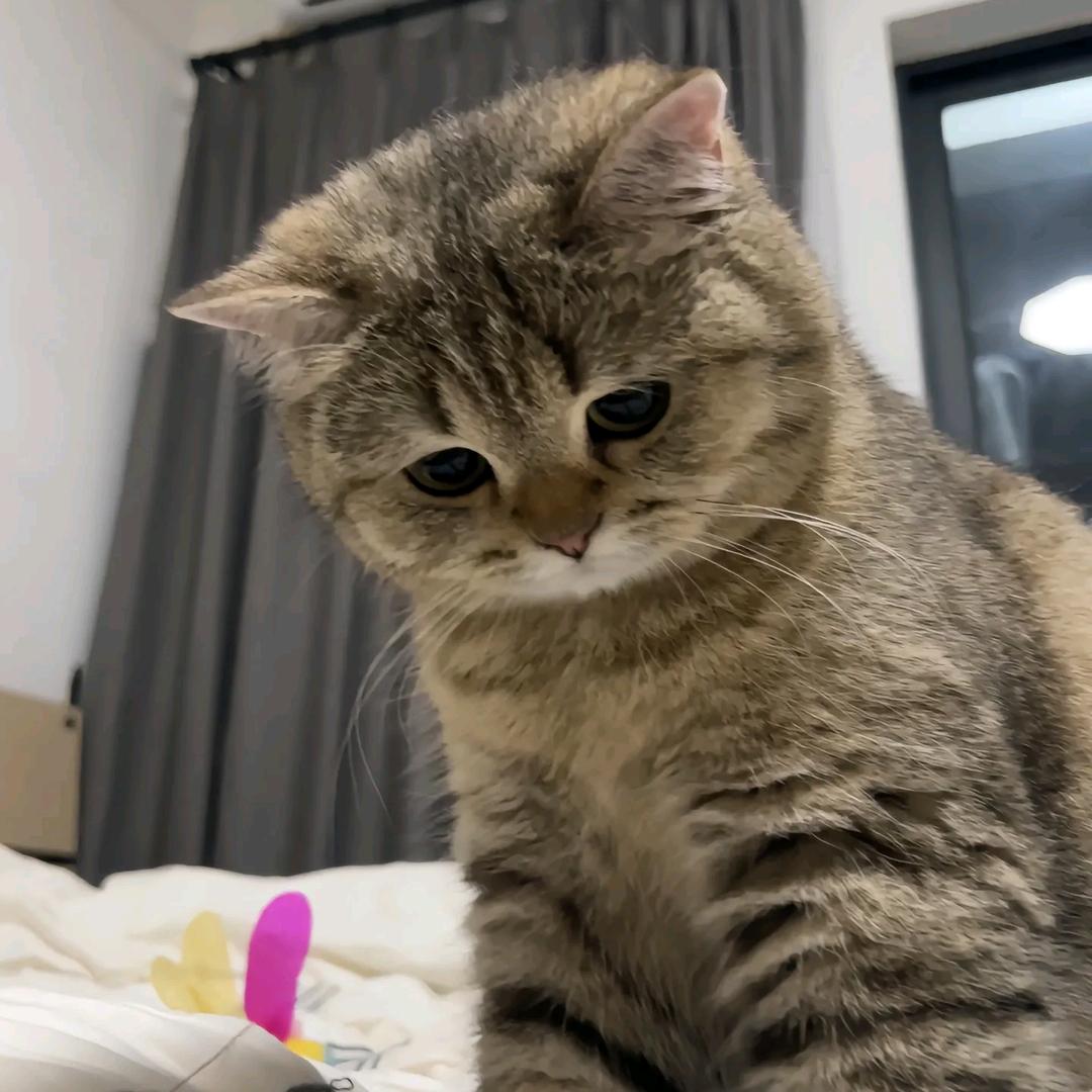 事已至此,先吃饭吧