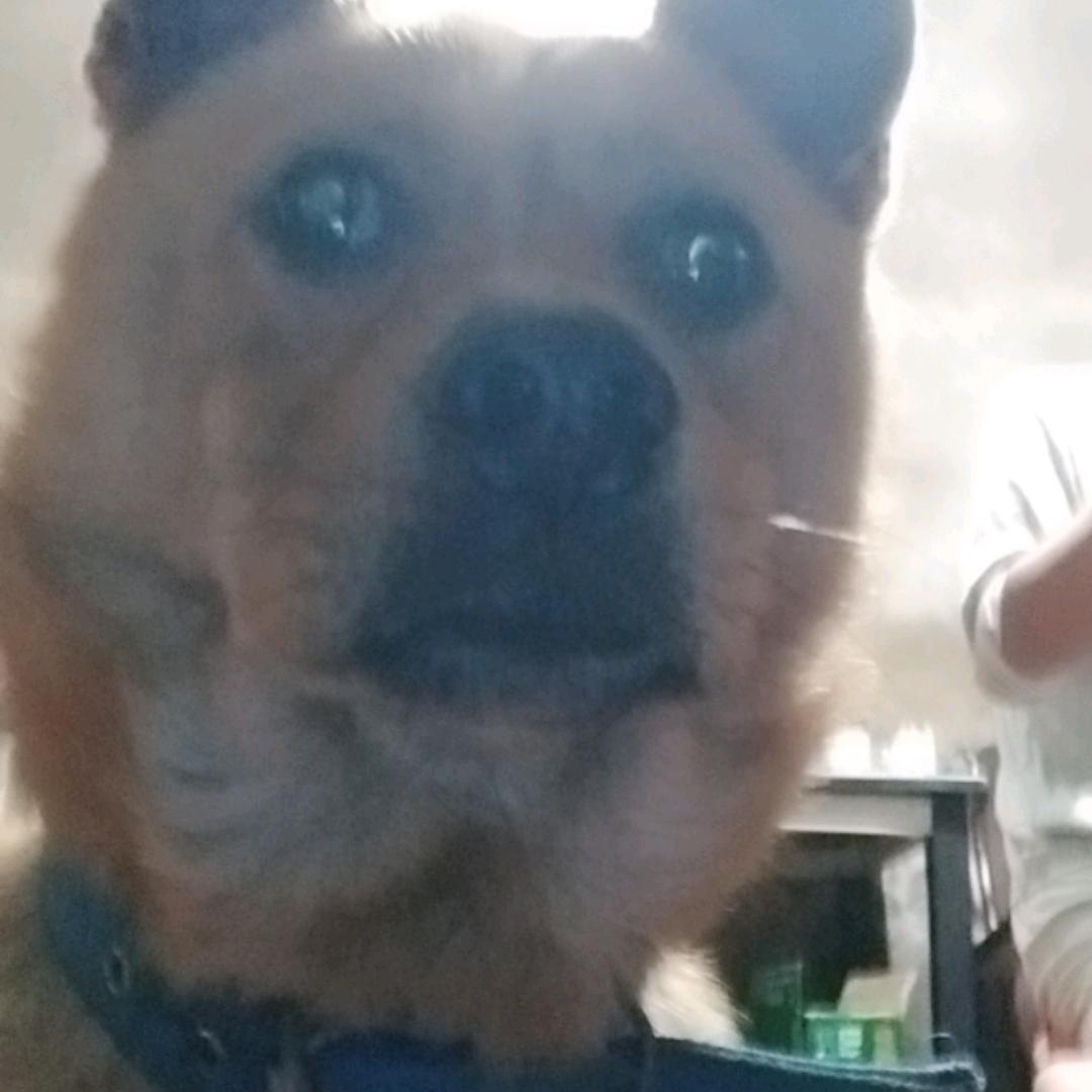 小余