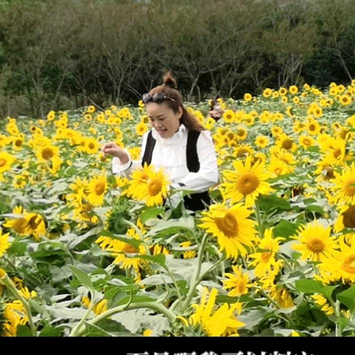 丹妮丝