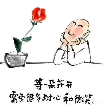 一粒种子