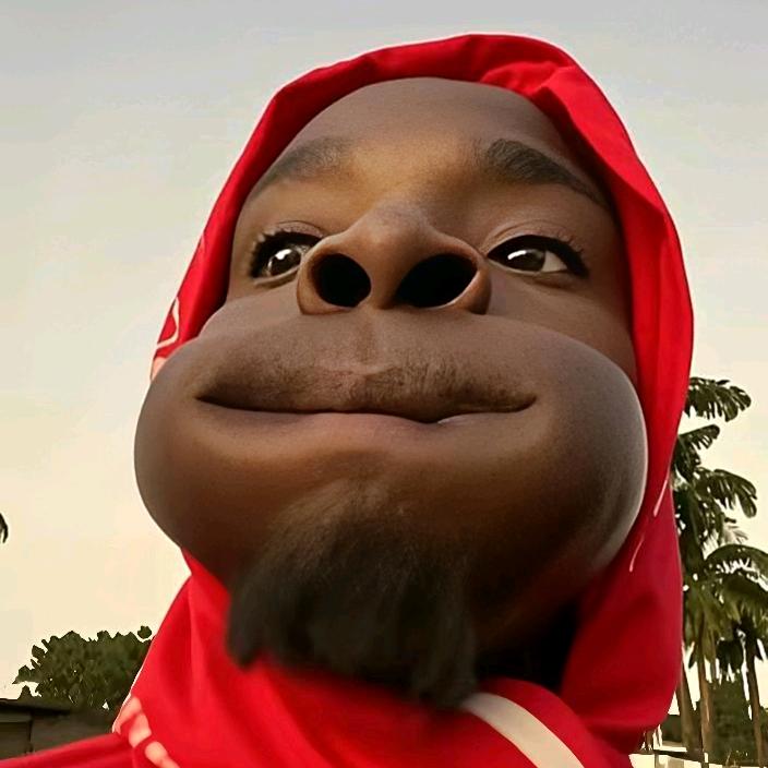 佳特林🚀
