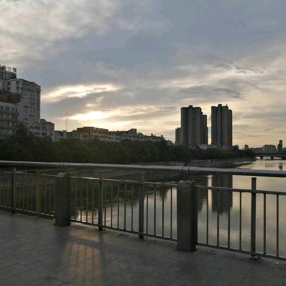 东北黑木耳