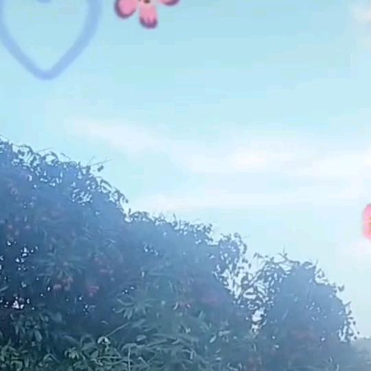 心里苦特别累的