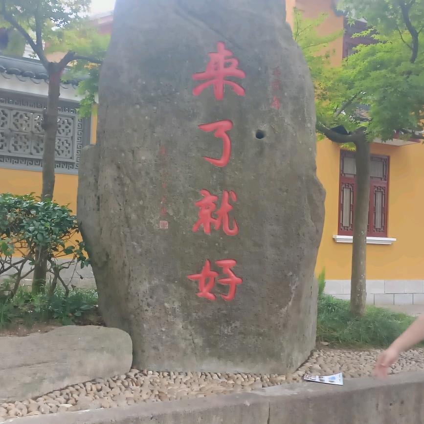 🌾努力奋斗🌴