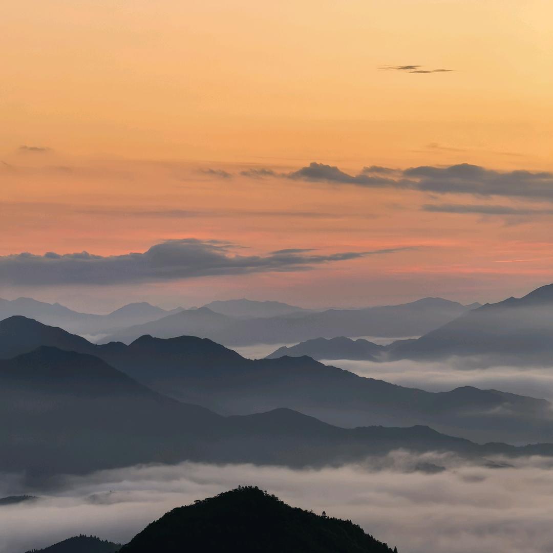 周末去哪Li