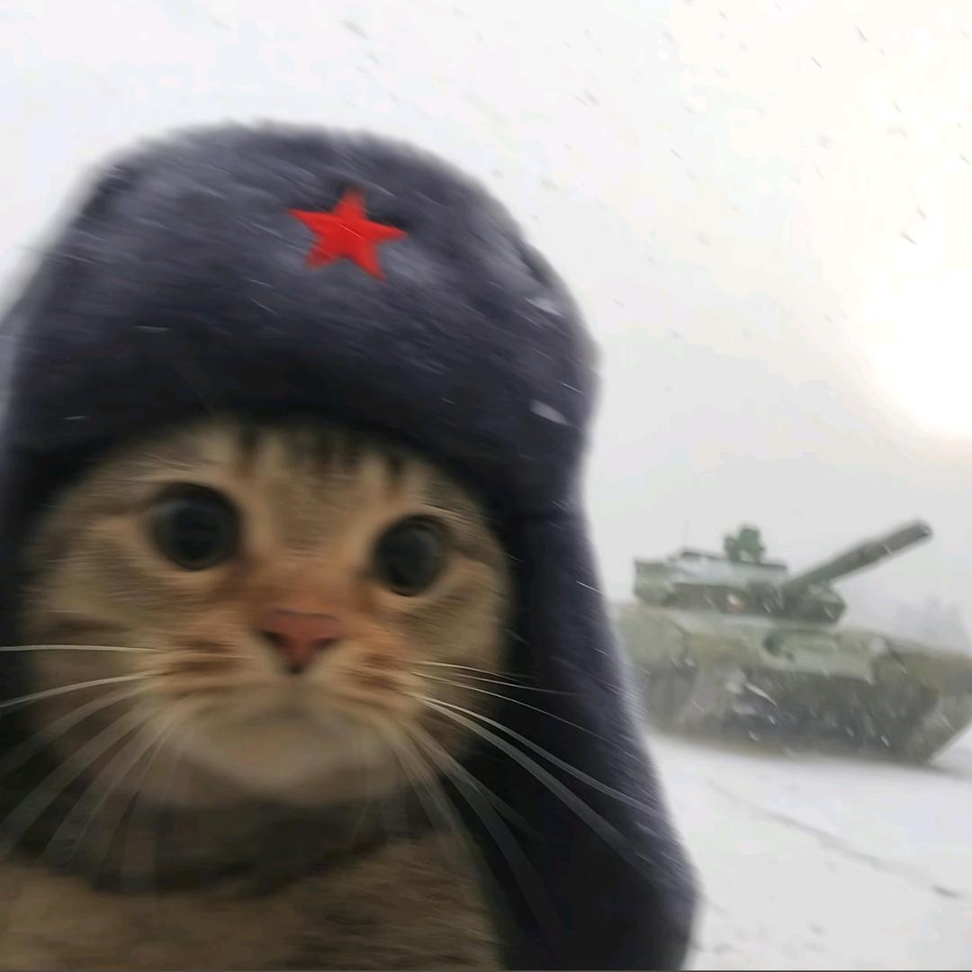 阿土