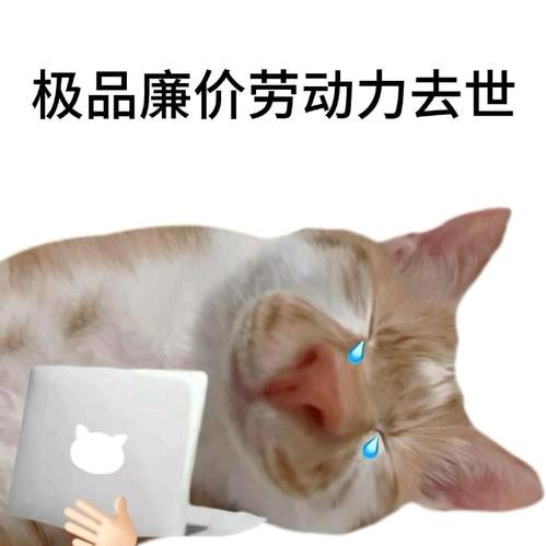 ￥￥￥