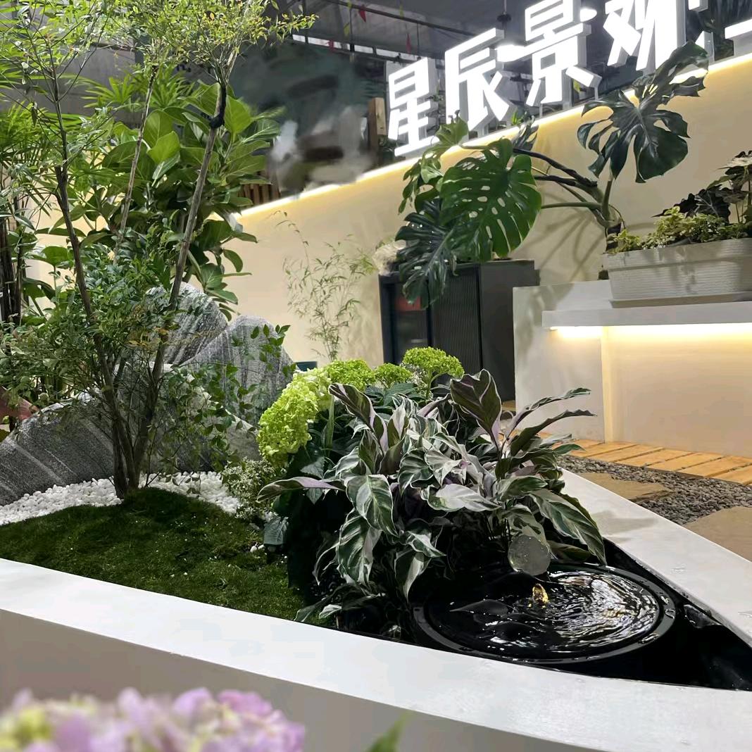 星辰景观
