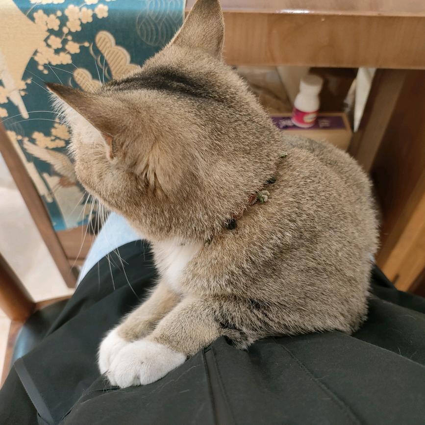 愈、