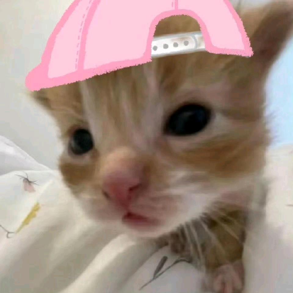 嘿bro