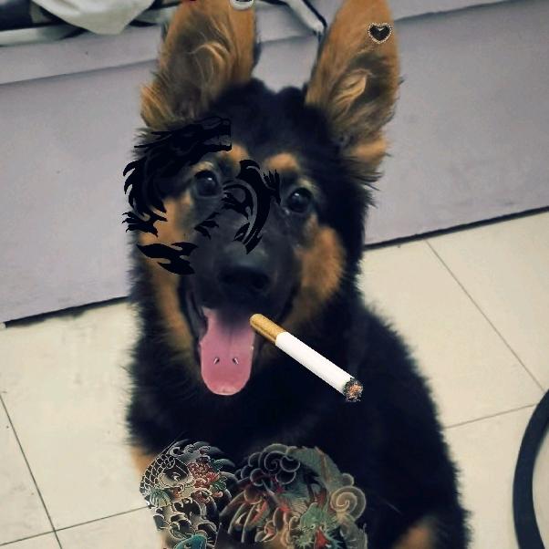 喜歡風