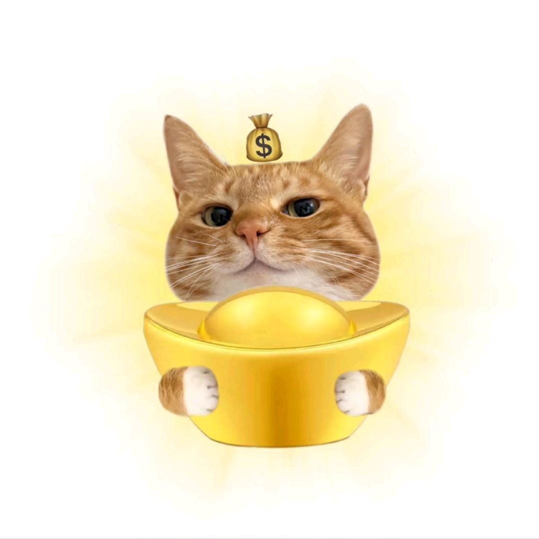 晴天也会下小雨