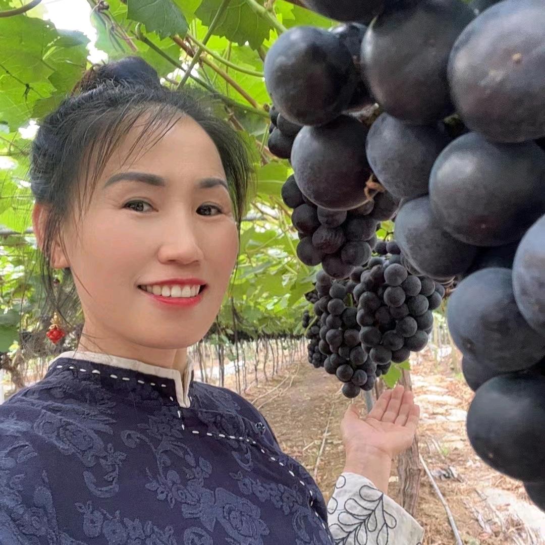 海燕葡萄自产自销店