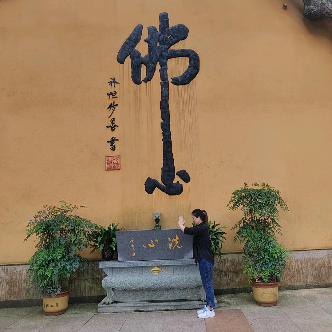 瑞士卷的瑞