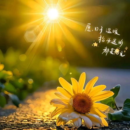 @幸运（首播筹备）