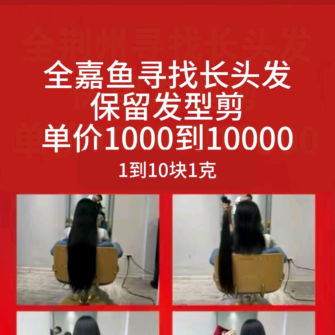 名剪飞扬